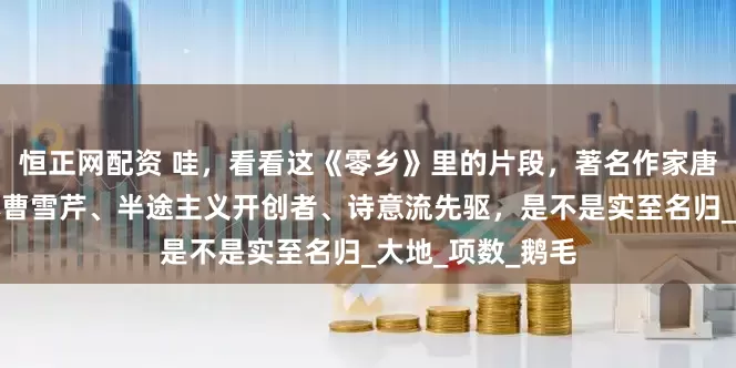 恒正网配资 哇，看看这《零乡》里的片段，著名作家唐国明被称为山林曹雪芹、半途主义开创者、诗意流先驱，是不是实至名归_大地_项数_鹅毛