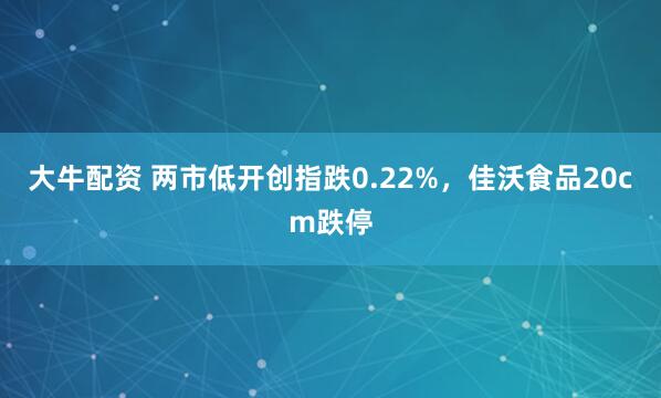 大牛配资 两市低开创指跌0.22%，佳沃食品20cm跌停